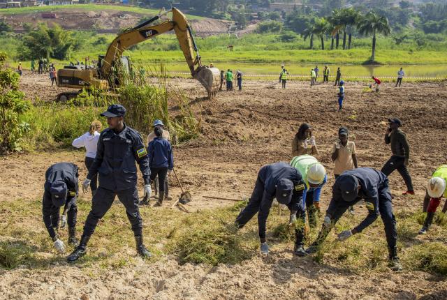(260201) -- KIGALI, Feb. 1, 2026 (Xinhua) -- Rwanda National Police officers plant grass with local residents during the Umuganda monthly community work at the Gikondo Wetland in Kigali, Rwanda, on Jan. 31, 2026. Taking root from Rwandan culture of self-help and cooperation, Umuganda, held on the last Saturday of each month, can be translated as "coming together in common purpose to achieve an outcome," according to Rwanda Governance Board. (Photo by Cyril Ndegeya/Xinhua)