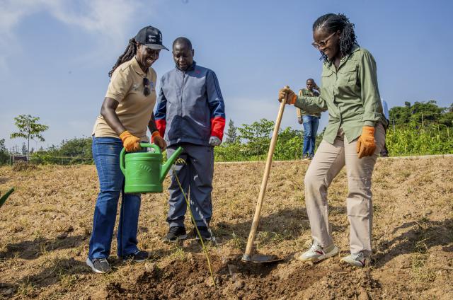 (260201) -- KIGALI, Feb. 1, 2026 (Xinhua) -- Fatmata Lovetta Sesay (L), the UNDP Resident Representative in Rwanda, pours water on a tree sapling together with Rwanda's Minister of Environment Bernadette Arakwiye (R) during the Umuganda monthly community work at the Gikondo Wetland in Kigali, Rwanda, on Jan. 31, 2026. Taking root from Rwandan culture of self-help and cooperation, Umuganda, held on the last Saturday of each month, can be translated as "coming together in common purpose to achieve an outcome," according to Rwanda Governance Board. (Photo by Cyril Ndegeya/Xinhua)