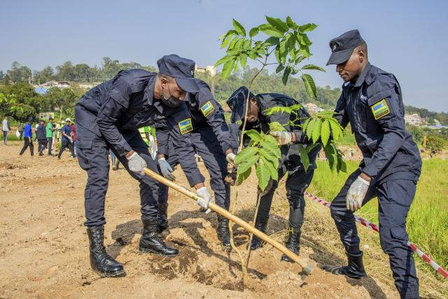 (260201) -- KIGALI, Feb. 1, 2026 (Xinhua) -- Rwanda National Police officers plant a tree during the Umuganda monthly community work at the Gikondo Wetland in Kigali, Rwanda,  on Jan. 31, 2026. Taking root from Rwandan culture of self-help and cooperation, Umuganda, held on the last Saturday of each month, can be translated as "coming together in common purpose to achieve an outcome," according to Rwanda Governance Board. (Photo by Cyril Ndegeya/Xinhua)