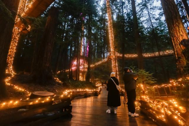 (260201) -- NORTH VANCOUVER, Feb. 1, 2026 (Xinhua) -- People look at Valentine's Day-themed lights during the "Love Lights" event at Capilano Suspension Bridge Park in North Vancouver, British Columbia, Canada, on Jan. 31, 2026. "Love Lights" is a Valentine's Day-themed attraction featuring romantic illuminations and decorations throughout the park. The event kicked off on Jan. 30 and will last until Feb. 22. (Photo by Liang Sen/Xinhua)
