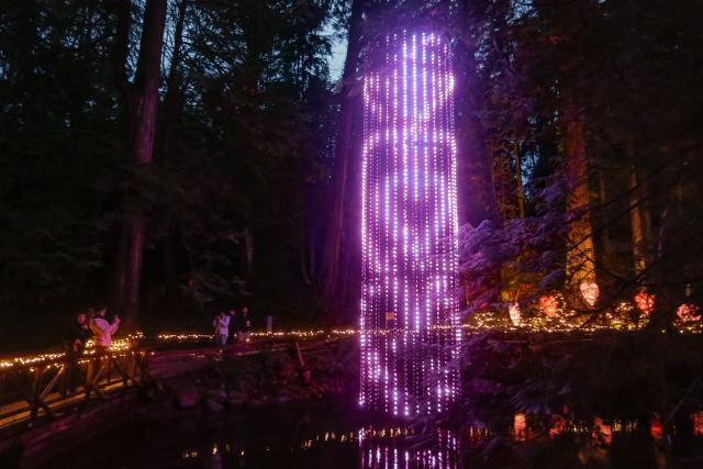 (260201) -- NORTH VANCOUVER, Feb. 1, 2026 (Xinhua) -- People look at Valentine's Day-themed lights during the "Love Lights" event at Capilano Suspension Bridge Park in North Vancouver, British Columbia, Canada, on Jan. 31, 2026. "Love Lights" is a Valentine's Day-themed attraction featuring romantic illuminations and decorations throughout the park. The event kicked off on Jan. 30 and will last until Feb. 22. (Photo by Liang Sen/Xinhua)