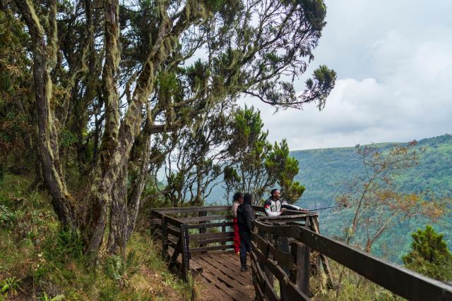 (260201) -- NYERI (KENYA), Feb. 1, 2026 (Xinhua) -- Tourists visit the Aberdare National Park in Nyeri County, Kenya, on Jan. 31, 2026. Aberdare National Park is located in central Kenya, covering an area of approximately 767 square kilometers. Characterized by a cool, moist climate with frequent mist and rainfall, the park is renowned for its spectacular high-altitude waterfalls. It is one of Kenya's most significant alpine forest national parks, serving both wildlife conservation and water catchment functions. (Xinhua/Xie Jianfei)