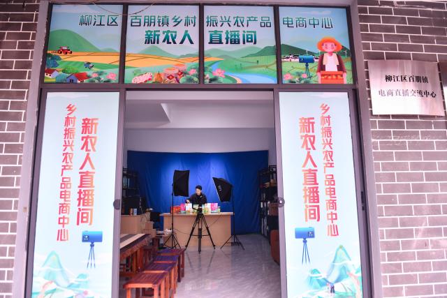 (260201) -- LIUZHOU, Feb. 1, 2026 (Xinhua) -- A staff member livestreams to sell products at an e-commerce center at Baipeng Town of Liujiang District in Liuzhou City, south China's Guangxi Zhuang Autonomous Region, Jan. 29, 2026. In recent years, Liujiang District has relied on its thriving rural industries, vibrant agricultural economy and convenient urban transportation network to upgrade and transform local rural markets in a bid to stimulate their vitality.
   Those dynamic markets have promoted the integration of local agriculture, culture and tourism, increasing jobs and incomes for locals and helping contribute to rural revitalization. (Xinhua/Wang Jingqiang)