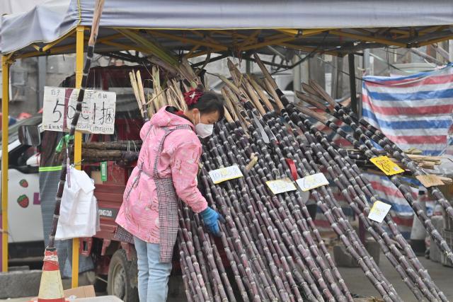 (260201) -- LIUZHOU, Feb. 1, 2026 (Xinhua) -- A vendor sells sugar-canes at a market at Jinde Town of Liujiang District in Liuzhou City, south China's Guangxi Zhuang Autonomous Region, Jan. 29, 2026. In recent years, Liujiang District has relied on its thriving rural industries, vibrant agricultural economy and convenient urban transportation network to upgrade and transform local rural markets in a bid to stimulate their vitality.
   Those dynamic markets have promoted the integration of local agriculture, culture and tourism, increasing jobs and incomes for locals and helping contribute to rural revitalization. (Xinhua/Wang Jingqiang)