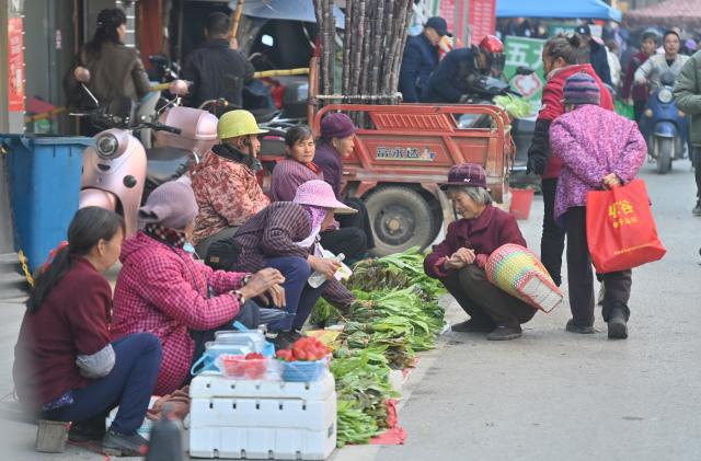 (260201) -- LIUZHOU, Feb. 1, 2026 (Xinhua) -- People sell vegetable at a street market at Baipeng Town of Liujiang District in Liuzhou City, south China's Guangxi Zhuang Autonomous Region, Jan. 13, 2026. In recent years, Liujiang District has relied on its thriving rural industries, vibrant agricultural economy and convenient urban transportation network to upgrade and transform local rural markets in a bid to stimulate their vitality.
   Those dynamic markets have promoted the integration of local agriculture, culture and tourism, increasing jobs and incomes for locals and helping contribute to rural revitalization. (Xinhua/Huang Xiaobang)