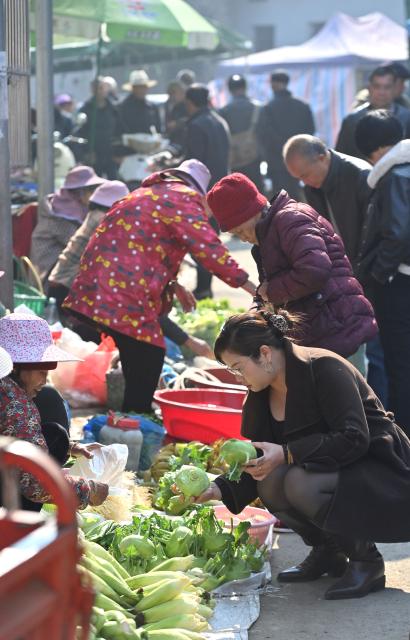 (260201) -- LIUZHOU, Feb. 1, 2026 (Xinhua) -- People buy vegetable at a street market at Chuanshan Town of Liujiang District in Liuzhou City, south China's Guangxi Zhuang Autonomous Region, Jan. 14, 2026. In recent years, Liujiang District has relied on its thriving rural industries, vibrant agricultural economy and convenient urban transportation network to upgrade and transform local rural markets in a bid to stimulate their vitality.
   Those dynamic markets have promoted the integration of local agriculture, culture and tourism, increasing jobs and incomes for locals and helping contribute to rural revitalization. (Xinhua/Huang Xiaobang)