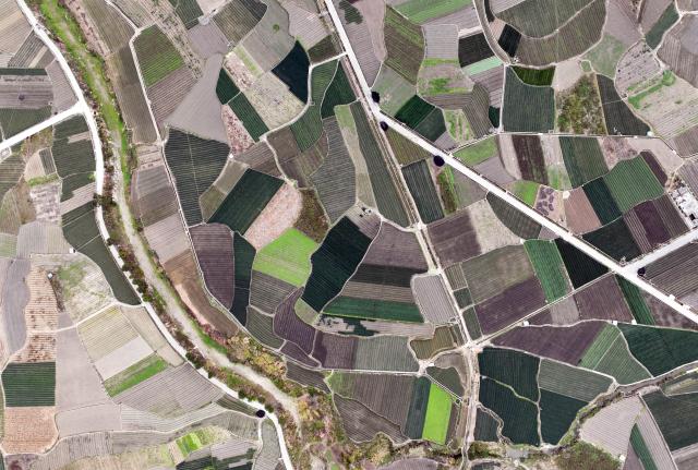 (260201) -- LIUZHOU, Feb. 1, 2026 (Xinhua) -- An aerial drone photo taken on Jan. 31, 2026 shows fields of scallions at Liujiang District in Liuzhou City, south China's Guangxi Zhuang Autonomous Region. In recent years, Liujiang District has relied on its thriving rural industries, vibrant agricultural economy and convenient urban transportation network to upgrade and transform local rural markets in a bid to stimulate their vitality.
   Those dynamic markets have promoted the integration of local agriculture, culture and tourism, increasing jobs and incomes for locals and helping contribute to rural revitalization. (Photo by Zheng Changhao/Xinhua)