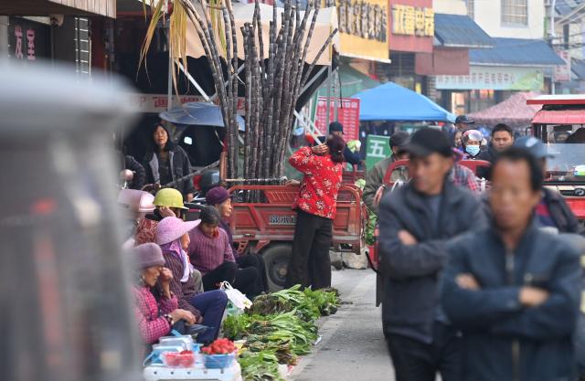 (260201) -- LIUZHOU, Feb. 1, 2026 (Xinhua) -- People visit a street market at Baipeng Town of Liujiang District in Liuzhou City, south China's Guangxi Zhuang Autonomous Region, Jan. 13, 2026. In recent years, Liujiang District has relied on its thriving rural industries, vibrant agricultural economy and convenient urban transportation network to upgrade and transform local rural markets in a bid to stimulate their vitality.
   Those dynamic markets have promoted the integration of local agriculture, culture and tourism, increasing jobs and incomes for locals and helping contribute to rural revitalization. (Xinhua/Huang Xiaobang)