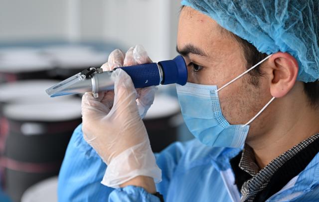 (260201) -- WENCHANG, Feb. 1, 2026 (Xinhua) -- A staff member takes a sampling test of Zaopo vinegar at a factory in Wenchang City, south China's Hainan Province, Jan. 28, 2026. Zaopo vinegar, a traditional specialty of Puqian Town in Wenchang City, has seen industrial growth in recent years as traditional brewing techniques are combined with modern standardized production, helping promote cultural-tourism integration and increase local income. (Xinhua/Guo Cheng)