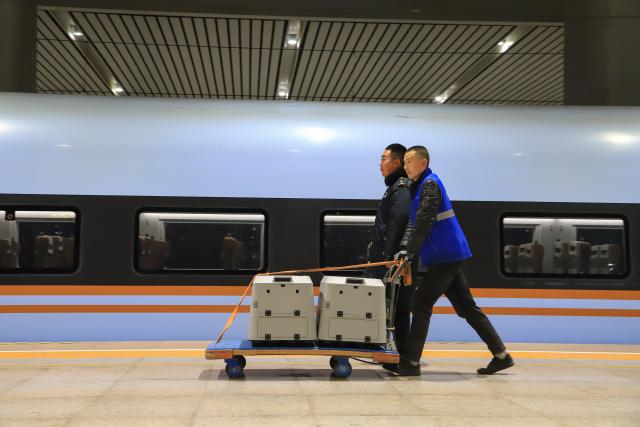 (260201) -- LANZHOU, Feb. 1, 2026 (Xinhua) -- Staff members prepare to load pet passengers onto the high-speed train at Lanzhou West Railway Station, in Lanzhou, northwest China's Gansu Province, Feb. 1, 2026. With the arrival of the Spring Festival travel season, Lanzhou West Railway Station has welcomed a number of pet passengers. These pet passengers are specially monitored and looked after by train staff, traveling in dedicated pet transport cases equipped with intelligent monitoring systems.
   Since Jan. 28, the railway authorities have further increased the number of high-speed railway stations with pet consignment services. Passengers can make online reservations through the 12306 app or WeChat mini-program, making pet travel more convenient during the Spring Festival period. (Photo by Wang Guanghui/Xinhua)