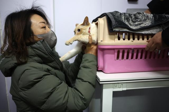 (260201) -- LANZHOU, Feb. 1, 2026 (Xinhua) -- A passenger interacts with her cat at the pet handover area of China Railway Express at Lanzhou West Railway Station, in Lanzhou, northwest China's Gansu Province, Feb. 1, 2026. With the arrival of the Spring Festival travel season, Lanzhou West Railway Station has welcomed a number of pet passengers. These pet passengers are specially monitored and looked after by train staff, traveling in dedicated pet transport cases equipped with intelligent monitoring systems.
   Since Jan. 28, the railway authorities have further increased the number of high-speed railway stations with pet consignment services. Passengers can make online reservations through the 12306 app or WeChat mini-program, making pet travel more convenient during the Spring Festival period. (Xinhua/Chen Bin)