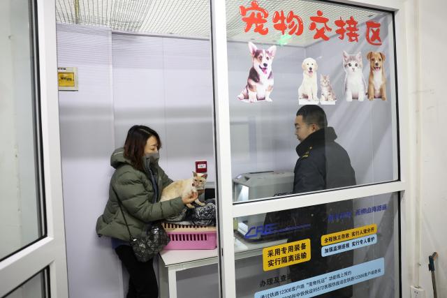 (260201) -- LANZHOU, Feb. 1, 2026 (Xinhua) -- A pet owner prepares to put her cat into a pet transport case at the pet handover area of China Railway Express at Lanzhou West Railway Station, in Lanzhou, northwest China's Gansu Province, Feb. 1, 2026. With the arrival of the Spring Festival travel season, Lanzhou West Railway Station has welcomed a number of pet passengers. These pet passengers are specially monitored and looked after by train staff, traveling in dedicated pet transport cases equipped with intelligent monitoring systems.
   Since Jan. 28, the railway authorities have further increased the number of high-speed railway stations with pet consignment services. Passengers can make online reservations through the 12306 app or WeChat mini-program, making pet travel more convenient during the Spring Festival period. (Xinhua/Chen Bin)