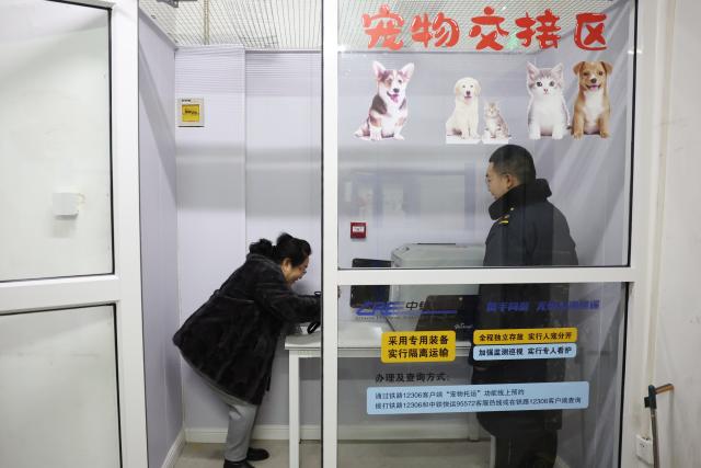 (260201) -- LANZHOU, Feb. 1, 2026 (Xinhua) -- A passenger interacts with her dog through the case at the pet handover area of China Railway Express at Lanzhou West Railway Station, in Lanzhou, northwest China's Gansu Province, Feb. 1, 2026. With the arrival of the Spring Festival travel season, Lanzhou West Railway Station has welcomed a number of pet passengers. These pet passengers are specially monitored and looked after by train staff, traveling in dedicated pet transport cases equipped with intelligent monitoring systems.
   Since Jan. 28, the railway authorities have further increased the number of high-speed railway stations with pet consignment services. Passengers can make online reservations through the 12306 app or WeChat mini-program, making pet travel more convenient during the Spring Festival period. (Xinhua/Chen Bin)