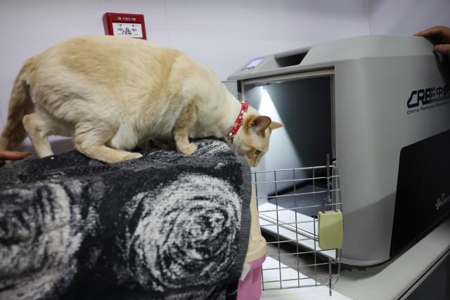 (260201) -- LANZHOU, Feb. 1, 2026 (Xinhua) -- A pet cat prepares to enter a pet transport case at the pet handover area of China Railway Express at Lanzhou West Railway Station, in Lanzhou, northwest China's Gansu Province, Feb. 1, 2026. With the arrival of the Spring Festival travel season, Lanzhou West Railway Station has welcomed a number of pet passengers. These pet passengers are specially monitored and looked after by train staff, traveling in dedicated pet transport cases equipped with intelligent monitoring systems.
   Since Jan. 28, the railway authorities have further increased the number of high-speed railway stations with pet consignment services. Passengers can make online reservations through the 12306 app or WeChat mini-program, making pet travel more convenient during the Spring Festival period. (Xinhua/Chen Bin)