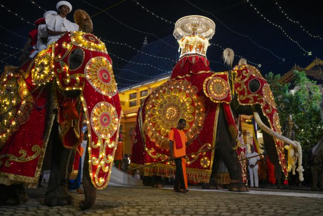 (260202) -- COLOMBO, Feb. 2, 2026 (Xinhua) -- Decorated elephants are seen during the annual Navam Maha Perahera parade in Colombo, Sri Lanka, Feb. 1, 2026. (Photo by Thilina Kaluthotage/Xinhua)