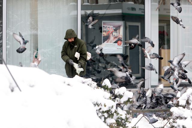 (260202) -- BUCHAREST, Feb. 2, 2026 (Xinhua) -- A man feeds pigeons on a snow-covered street in Bucharest, Romania, on Feb. 2, 2026. Romania's National Meteorological Administration (ANM) on Monday issued a Code Yellow warning for severe cold and frost, affecting more than half of the country, from Monday morning until Tuesday. (Photo by Cristian Cristel/Xinhua)
