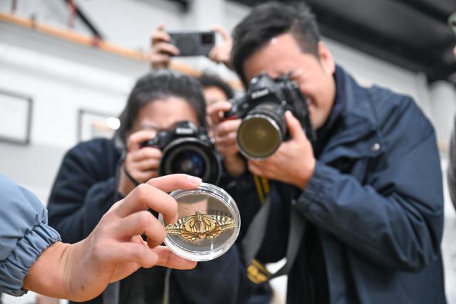 (260203) -- CHONGQING, Feb. 3, 2026 (Xinhua) -- Media workers take photos of the specimen of a butterfly at the Center of Space Exploration under Ministry of Education, in Chongqing University, southwest China's Chongqing, Feb. 2, 2026. Researchers at China's Chongqing University announced on Monday that a butterfly has successfully emerged from its pupa while orbiting Earth, yielding valuable data on biological survival in the harsh microgravity environment of space.
   The butterfly chrysalis was sealed inside a small experimental space ecosystem payload developed by the university's research team and carried into space aboard the Kuaizhou-11 Y8 carrier rocket on Dec. 13, 2025.
TO GO WITH "China Focus: Chinese space experiment sees butterfly emerge in orbit" (Xinhua/Chen Cheng)
