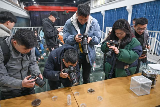 (260203) -- CHONGQING, Feb. 3, 2026 (Xinhua) -- Media workers take photos of the specimen of a butterfly at the Center of Space Exploration under Ministry of Education, in Chongqing University, southwest China's Chongqing, Feb. 2, 2026. Researchers at China's Chongqing University announced on Monday that a butterfly has successfully emerged from its pupa while orbiting Earth, yielding valuable data on biological survival in the harsh microgravity environment of space.
   The butterfly chrysalis was sealed inside a small experimental space ecosystem payload developed by the university's research team and carried into space aboard the Kuaizhou-11 Y8 carrier rocket on Dec. 13, 2025.
TO GO WITH "China Focus: Chinese space experiment sees butterfly emerge in orbit" (Xinhua/Chen Cheng)