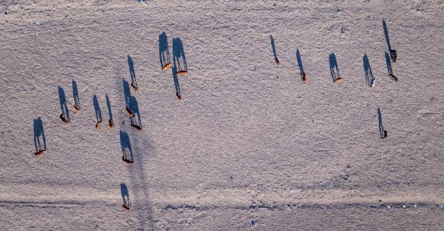(260203) -- ALMATY, Feb. 3, 2026 (Xinhua) -- An aerial drone photo taken on Jan. 30, 2026 shows horses on a winter grassland in Almaty Region, Kazakhstan. (Xinhua/Li Renzi)
