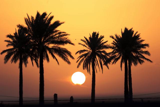 (260203) -- BAGHDAD, Feb. 3, 2026 (Xinhua) -- This photo taken on Feb. 2, 2026 shows the sunset scenery in Baghdad, Iraq. (Xinhua/Khalil Dawood)