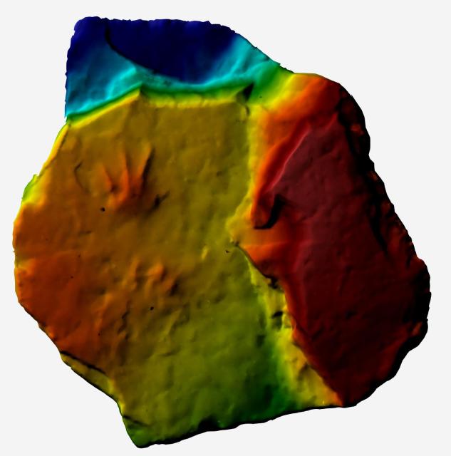 (260203) -- BEIJING, Feb. 3, 2026 (Xinhua) -- This photo taken on July 30, 2025 shows a 3D digital model of amphibian track fossils in Middle Jurassic strata discovered in Beijing, capital of China. TO GO WITH: "Across China: First amphibian footprints from Jurassic of Asia discovered in Beijing" (China University of Geosciences (Beijing)/Handout via Xinhua)