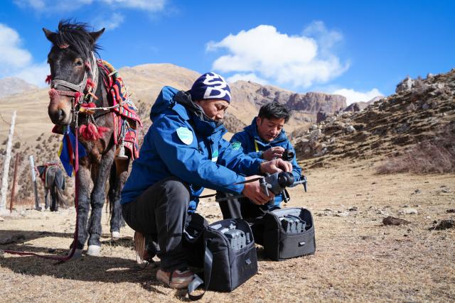 (260203) -- YUSHU, Feb. 3, 2026 (Xinhua) -- Tseten (L) and Kunga perpare drones for patrolling in Angsai Township of Zaduo County, Yushu Tibetan Autonomous Prefecture, northwest China's Qinghai Province, Jan. 29, 2026. Amid snow-capped mountains and deep valleys in Angsai Township of Zaduo County, an area in Sanjiangyuan National Park, Tseten and Kunga trek over ridges, cross alpine meadows and carry out ecological patrols, pressing the shutter as they move through the landscape.    
   In 2016, Tseten and Kunga became rangers under a public welfare program. Having taught themselves photography, they have been documenting the mountains, rivers and wildlife of their homeland with their cameras while patrolling, collecting litter, monitoring water sources and observing vegetation. 
   Over a decade, their footprints have spread across the grasslands and river shores. Their lens have remained fixed on the changes unfolding on this land: wildlife populations are increasing, traces of garbage on the grasslands have largely disappeared, and the ecological landscape along the Lancang River has grown better and better. (Xinhua/Qi Zhiyue)