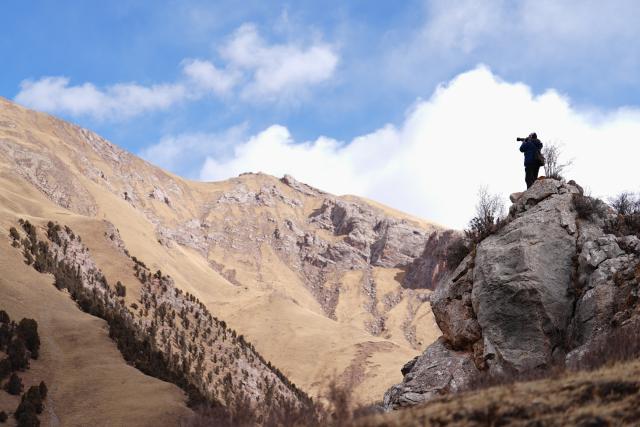 (260203) -- YUSHU, Feb. 3, 2026 (Xinhua) -- Tseten takes photos while patroling in Angsai Township of Zaduo County, Yushu Tibetan Autonomous Prefecture, northwest China's Qinghai Province, Jan. 29, 2026. Amid snow-capped mountains and deep valleys in Angsai Township of Zaduo County, an area in Sanjiangyuan National Park, Tseten and Kunga trek over ridges, cross alpine meadows and carry out ecological patrols, pressing the shutter as they move through the landscape.    
   In 2016, Tseten and Kunga became rangers under a public welfare program. Having taught themselves photography, they have been documenting the mountains, rivers and wildlife of their homeland with their cameras while patrolling, collecting litter, monitoring water sources and observing vegetation. 
   Over a decade, their footprints have spread across the grasslands and river shores. Their lens have remained fixed on the changes unfolding on this land: wildlife populations are increasing, traces of garbage on the grasslands have largely disappeared, and the ecological landscape along the Lancang River has grown better and better. (Xinhua/Qi Zhiyue)