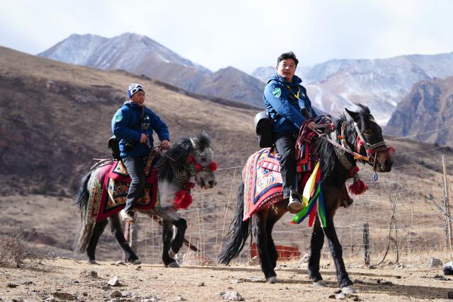 (260204) -- YUSHU, Feb. 4, 2026 (Xinhua) -- Tseten (L) and Kunga patrol in Angsai Township of Zaduo County, Yushu Tibetan Autonomous Prefecture, northwest China's Qinghai Province, Jan. 29, 2026. Amid snow-capped mountains and deep valleys in Angsai Township of Zaduo County, an area in Sanjiangyuan National Park, Tseten and Kunga trek over ridges, cross alpine meadows and carry out ecological patrols, pressing the shutter as they move through the landscape.    
   In 2016, Tseten and Kunga became rangers under a public welfare program. Having taught themselves photography, they have been documenting the mountains, rivers and wildlife of their homeland with their cameras while patrolling, collecting litter, monitoring water sources and observing vegetation. 
   Over a decade, their footprints have spread across the grasslands and river shores. Their lens have remained fixed on the changes unfolding on this land: wildlife populations are increasing, traces of garbage on the grasslands have largely disappeared, and the ecological landscape along the Lancang River has grown better and better. (Xinhua/Qi Zhiyue)