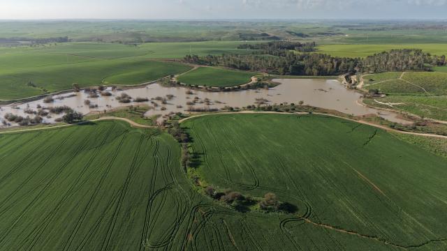 (260204) -- KIRYAT GAT, Feb. 4, 2026 (Xinhua) -- This aerial drone photo taken on Feb. 3, 2026 shows the green scenery of the Negev Desert near Kiryat Gat, southern Israel. (Photo by Gil Cohen Magen/Xinhua)