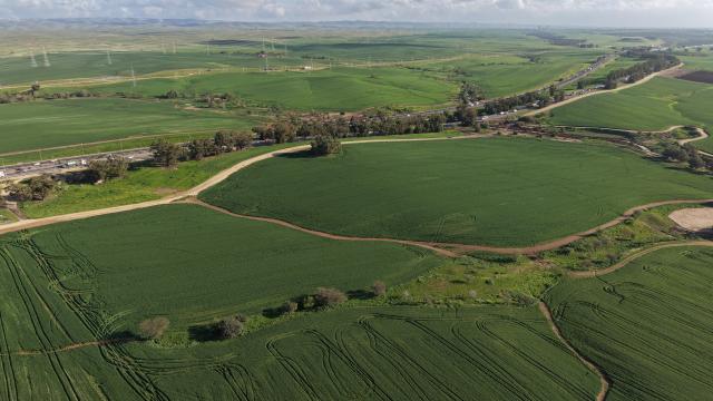 (260204) -- KIRYAT GAT, Feb. 4, 2026 (Xinhua) -- This aerial drone photo taken on Feb. 3, 2026 shows the green scenery of the Negev Desert near Kiryat Gat, southern Israel. (Photo by Gil Cohen Magen/Xinhua)