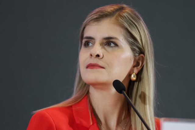 (260204) -- BEIJING, Feb. 4, 2026 (Xinhua) -- Costa Rican President-elect Laura Fernandez attends a press conference in San Jose, Costa Rica, Feb. 2, 2026.
  Laura Fernandez, the candidate from the ruling Sovereign People Party, on Feb. 1 celebrated her victory in the Costa Rican presidential election after securing 48.3 percent of the vote. (Photo by Francisco Canedo/Xinhua)