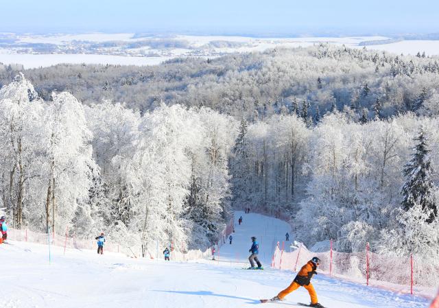 (260204) -- MINSK, Feb. 4, 2026 (Xinhua) -- People ski at a ski resort in Minsk region, Belarus, Feb. 3, 2026. (Photo by Henadz Zhinkov/Xinhua)