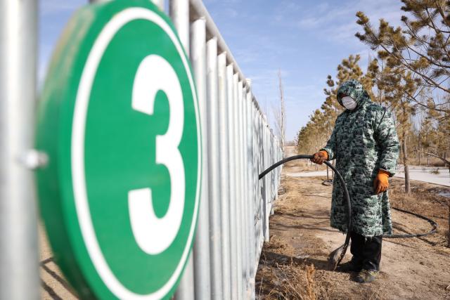 (260204) -- WUWEI, Feb. 4, 2026 (Xinhua) -- A staff offers water to Przewalski's horses at the Przewalski's horses breeding base of the Gansu Endangered Animal Protection Center in Wuwei City of northwest China's Gansu Province, Feb. 3, 2026. The Przewalski's horse is listed as a national first-class protected animal in China and remains endangered globally. 
    Starting at the end of the 1980s, the Endangered Animal Protection Center of Gansu Province started to reintroduce 18 studs of Przewalski's horses from Germany and the United States.
   After 40 years of caring and breeding, the number of Przewalski's horses has increased steadily. By far, taking advantage of its geological and ecological edges, the Gansu Endangered Animal Protection Center has released altogether 56 Przewalski's horses into the wild to the Dunhuang West Lake National Nature Reserve and kept 45 inside. (Xinhua/Chen Bin)