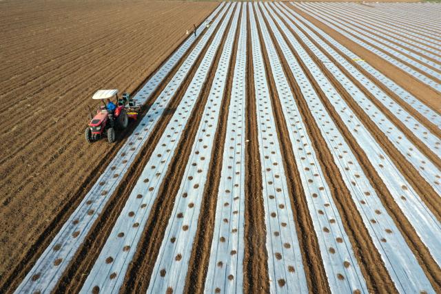 (260204) -- BEIJING, Feb. 4, 2026 (Xinhua) -- An aerial drone photo taken on Feb. 4, 2026 shows a farmer operating farm machinery in the field in Nanli Village of Qinyang City, central China's Henan Province. Wednesday marks "Lichun," or the Beginning of Spring, the first of the 24 solar terms on the Chinese lunar calendar. Traditionally, it is also a symbolic start of farming work for the new year. (Photo by Yang Fan/Xinhua)