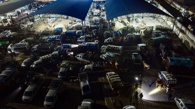 (260205) -- GUYUAN, Feb. 5, 2026 (Xinhua) -- An aerial drone photo taken on Feb. 4, 2026 shows customers gathering at Shanjiaji livestock trading market in Xiji County, northwest China's Ningxia Hui Autonomous Region. Wednesday marks "Lichun," or the Beginning of Spring, the first of the 24 solar terms on the Chinese lunisolar calendar. It's also a trading day for Shanjiaji livestock trading market. 
In recent years, the market has become one of the largest village-level livestock trading markets in the area, currently trading over 250,000 heads of beef cattle annually. (Xinhua/Yang Zhisen)