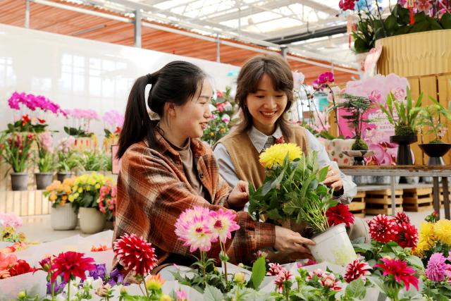 (260205) -- BEIJING, Feb. 5, 2026 (Xinhua) -- People buy flowers at a floral market in Jiyuan City, central China's Henan Province, Feb. 5, 2026. Fairs and events are held across the country, where people shop for goods in preparation for the upcoming Spring Festival, or the Chinese New Year. (Photo by Duan Erping/Xinhua)