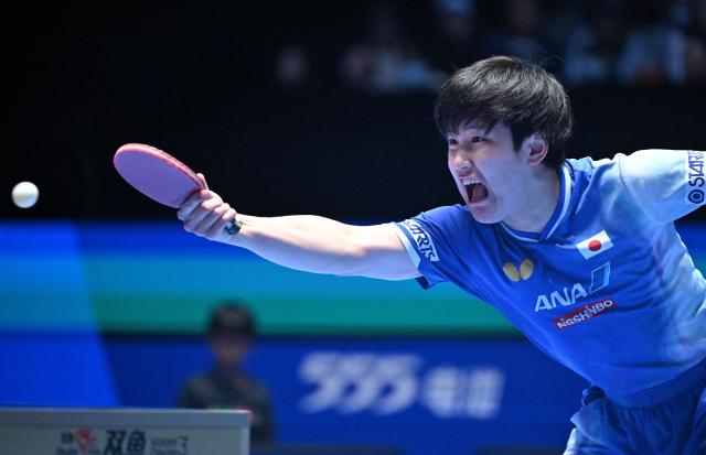 (260206) -- HAIKOU, Feb. 6, 2026 (Xinhua) -- Harimoto Tomokazu hits a return during the men's singles group 3 match between Harimoto Tomokazu of Japan and Aidos Kenzhigulov of Kazakhstan at the ITTF-ATTU Asian Cup Haikou 2026 table tennis tournament in Haikou, south China's Hainan Province, Feb. 6, 2026. (Xinhua/Guo Cheng)