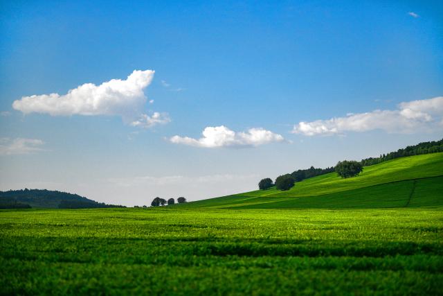 (260207) -- NAIROBI, Feb. 7, 2026 (Xinhua) -- This photo taken on Feb. 4, 2026 shows a tea plantation in Nyamira County, Kenya.
  Kenya is known for its bountiful production of high-quality tea, which sustains millions of Kenyans. Nyamira and Bomet counties are noted for their tea plantations, which not only bring about economic benefits, but also shape a unique scenery. (Xinhua/Yang Guang)