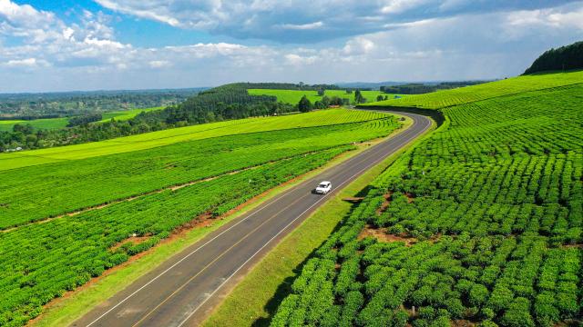 (260207) -- NAIROBI, Feb. 7, 2026 (Xinhua) -- An aerial drone photo taken on Feb.4, 2026 shows a tea plantation in Nyamira County, Kenya.
  Kenya is known for its bountiful production of high-quality tea, which sustains millions of Kenyans. Nyamira and Bomet counties are noted for their tea plantations, which not only bring about economic benefits, but also shape a unique scenery. (Xinhua/Yang Guang)