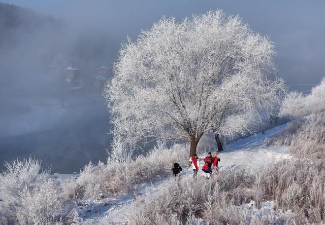 (260207) -- BEIJING, Feb. 7, 2026 (Xinhua) -- An aerial drone photo taken on Feb. 7, 2026 shows people posing for photos among rime scenery at a reservoir in Harbin City, northeast China's Heilongjiang Province. (Photo by Zhang Shu/Xinhua)