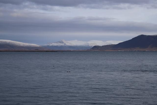 (260208) -- REYKJAVIK, Feb. 8, 2026 (Xinhua) -- This photo taken on Feb. 7, 2026 shows a winter scenery on Iceland. (Xinhua/Zhu Haochen)