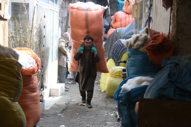 (260208) -- KABUL, Feb. 8, 2026 (Xinhua) -- A worker carries a sack of cotton at a cotton processing shop in Kabul, capital of Afghanistan, on Feb. 8, 2026.
  Afghan farmers harvested more than 158,000 metric tons of cotton over the past year, the National Statistics and Information Authority said in a statement on Saturday.
  Cotton is one of Afghanistan's most popular export products. Its cotton exports reached 163 million U.S. dollars during the same period. (Photo by Saifurahman Safi/Xinhua)