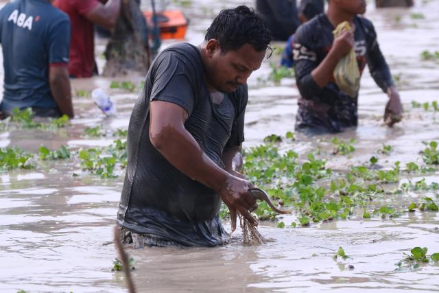 (260208) -- SIEM REAP, Feb. 8, 2026 (Xinhua) -- A man collects fish from his fishing net during a traditional fish-catching ceremony in a lake in Siem Reap province, Cambodia, on Feb. 8, 2026. (Photo by Sao Khuth/Xinhua)