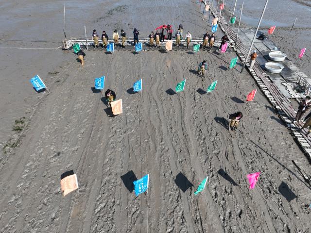 (260208) -- XIAPU, Feb. 8, 2026 (Xinhua) -- An aerial drone photo taken on Feb. 8, 2026 shows people attending a "munima" racing competition in Xiapu County, southeast China's Fujian Province. "Munima," meaning "wooden mud horse" in Chinese, is a traditional sled-like tool for gliding over tidal flats to pick up seafood. Horse-themed tourism has surged recently in Xiapu County as the lunar Year of the Horse approaches. (Xinhua/Jiang Kehong)