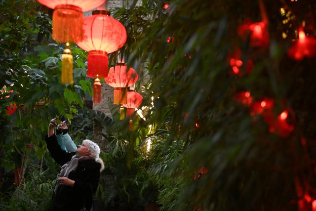 (260209) -- BEIJING, Feb. 9, 2026 (Xinhua) -- Visitors take photos of Spring Festival decorations at the subtropical greenhouse of the Moscow State University's Apothecary Garden in Moscow, Russia, Feb. 7, 2026. (Photo by Alexander Zemlianichenko Jr/Xinhua)