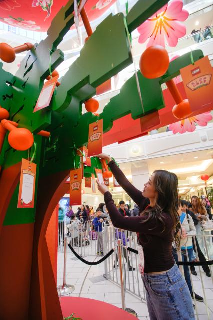 (260209) -- BURNABY, Feb. 9, 2026 (Xinhua) -- A woman hangs her wishes on a LEGO wishing tree during a LEGO pop-up event to celebrate the upcoming Year of the Horse at Metrotown Shopping Mall in Burnaby, British Columbia, Canada, on Feb. 8, 2026. (Photo by Liang Sen/Xinhua)