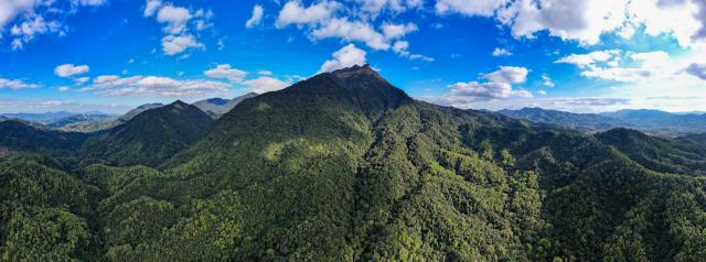 (260210) -- WUZHISHAN, Feb. 10, 2026 (Xinhua) -- An aerial panoramic drone photo taken on Feb. 4, 2026 shows a view of the Wuzhishan section of the Hainan Tropical Rainforest National Park in south China's Hainan Province. Wuzhishan section is a core part of the Hainan Tropical Rainforest National Park. (Xinhua/Yang Guanyu)