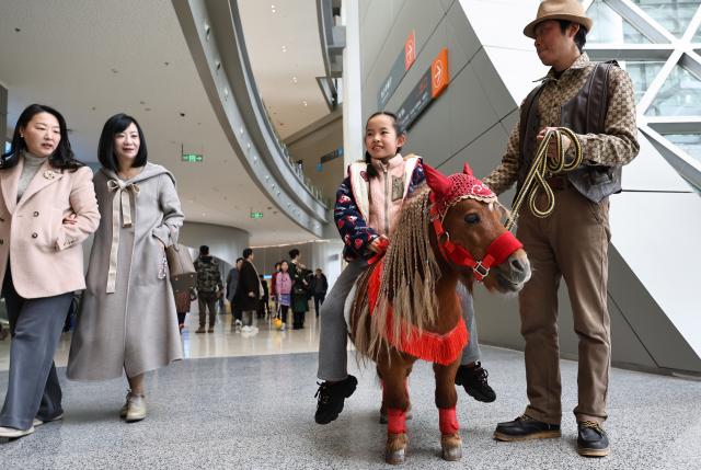 (260210) -- SHANGHAI, Feb. 10, 2026 (Xinhua) -- A girl tries riding a Shetland pony during Galloping Wonders: Year of the Horse Science & Culture Exhibition at Shanghai Science & Technology Museum in east China's Shanghai, Feb. 10, 2026. Jointly hosted by Shanghai Science & Technology Museum and the Palace Museum, the exhibition kicked off here on Tuesday. (Xinhua/Fang Zhe)