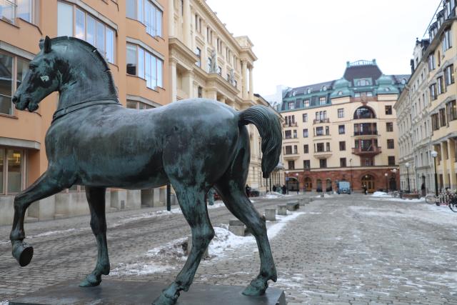 (260210) -- STOCKHOLM, Feb. 10, 2026 (Xinhua) -- Photo taken on Feb. 9, 2026 shows a street view of Stockholm, the capital of Sweden. (Xinhua/Zhu Haochen)