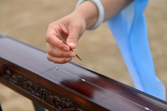 (260211) -- DONGXING, Feb. 11, 2026 (Xinhua) -- Su Haizhen plays the Duxianqin on Jintan Beach in Dongxing City, south China's Guangxi Zhuang Autonomous Region, Feb. 7, 2026. On Jintan Beach in Dongxing City of south China's Guangxi Zhuang Autonomous Region, Su Haizhen plays the Duxianqin, or single-stringed musical instrument, showcasing the unique charm of the Jing ethnic group's special instrument.
   The Jing people are among China's smaller ethnic minority groups, and the only one whose economy is primarily based on marine fishing. They mainly reside in Dongxing City of Guangxi. Duxianqin is a distinctive ethnic instrument of Dongxing's Jing community. With just one string and one lever, it can produce six registers and three octaves. In 2011, the Duxianqin art of Jing people was listed as one of the national intangible cultural heritages in China. 
   Su Haizhen, a Jing native from Dongxing who grew up by the sea, comes from a family that has been dedicated to preserving Jing culture since her grandfather's generation. In 1987, she began formally studying to play the Duxianqin. Today, she is a regional-level representative inheritor of the Duxianqin art of Jing people in the autonomous region. Over nearly four decades of research, inheriting, and development of the instrument, Su has been continuously refining her playing skills while improving the instrument's craftsmanship and exploring innovative performance styles. She is also committed to nurturing more enthusiasts and inheritors of the art.
   In 2023, after becoming a member of the National Committee of the Chinese People's Political Consultative Conference, Su Haizhen felt a stronger sense of mission and responsibility to preserve and promote China's traditional culture. While advocating for Duxianqin education in schools, she has been exploring ways to further highlight the cultural appeal of the art. Leveraging Dongxing's geographical proximity to Vietnam, she aims to foster deeper cultural exchanges and cooperation between China and ASEAN countries like Vietnam. (Xinhua/Lu Boan)